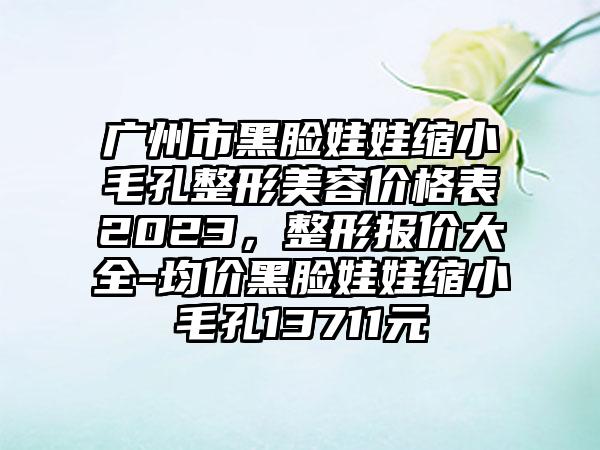 广州市黑脸娃娃缩小毛孔整形美容价格表2023，整形报价大全-均价黑脸娃娃缩小毛孔13711元