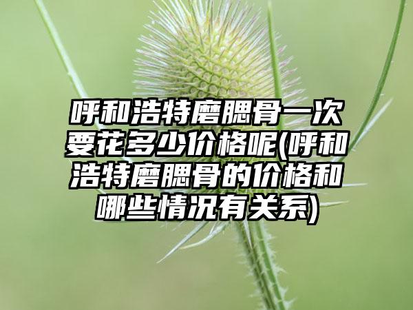 呼和浩特磨腮骨一次要花多少价格呢(呼和浩特磨腮骨的价格和哪些情况有关系)