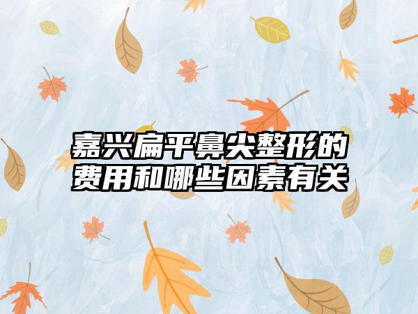 嘉兴扁平鼻尖整形的费用和哪些因素有关