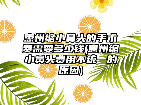 惠州缩小鼻头的手术费需要多少钱(惠州缩小鼻头费用不统一的原因)