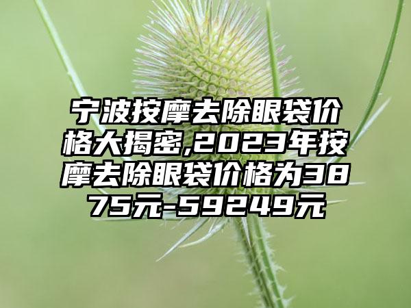 宁波按摩去除眼袋价格大揭密,2023年按摩去除眼袋价格为3875元-59249元