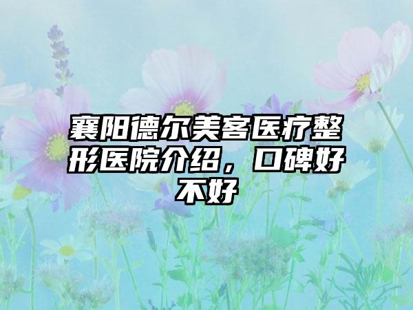 襄阳德尔美客医疗整形医院介绍，口碑好不好