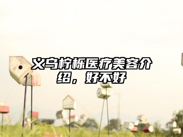 义乌柠栎医疗美容介绍，好不好