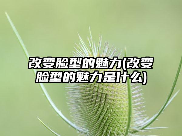 改变脸型的魅力(改变脸型的魅力是什么)