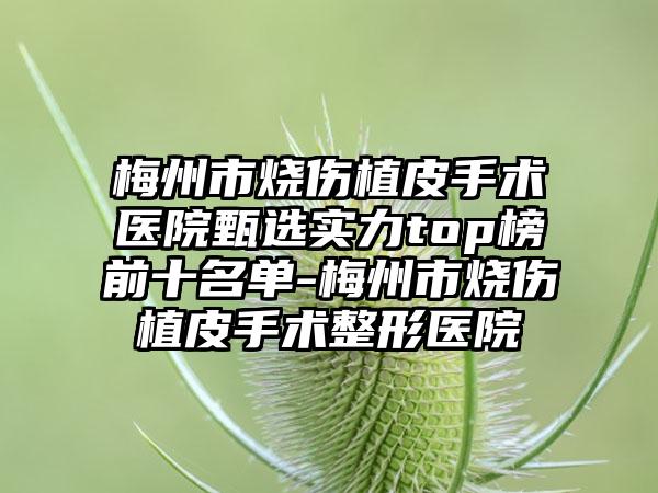 梅州市烧伤植皮手术医院甄选实力top榜前十名单-梅州市烧伤植皮手术整形医院