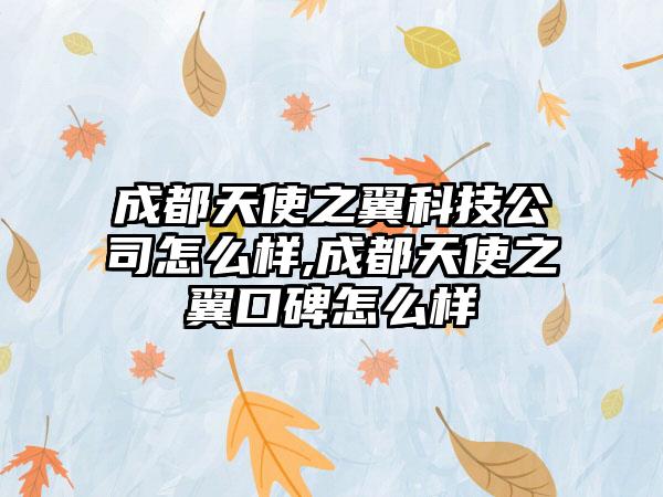 成都天使之翼科技公司怎么样,成都天使之翼口碑怎么样