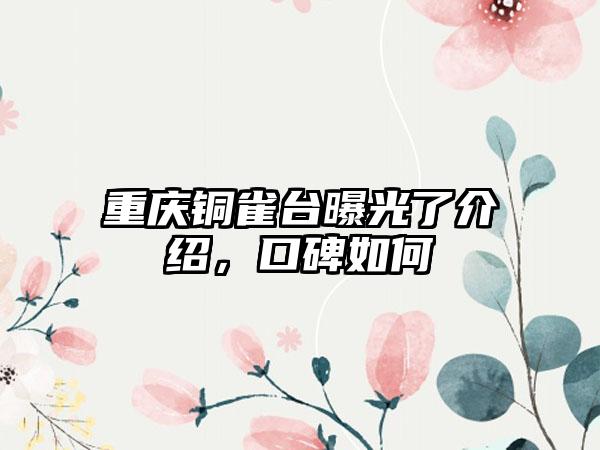 重庆铜雀台曝光了介绍，口碑如何