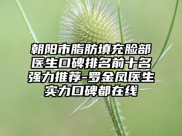 朝阳市脂肪填充脸部医生口碑排名前十名强力推荐-罗金凤医生实力口碑都在线