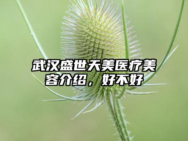 武汉盛世天美医疗美容介绍，好不好