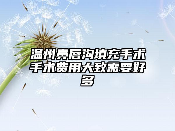 温州鼻唇沟填充手术手术费用大致需要好多