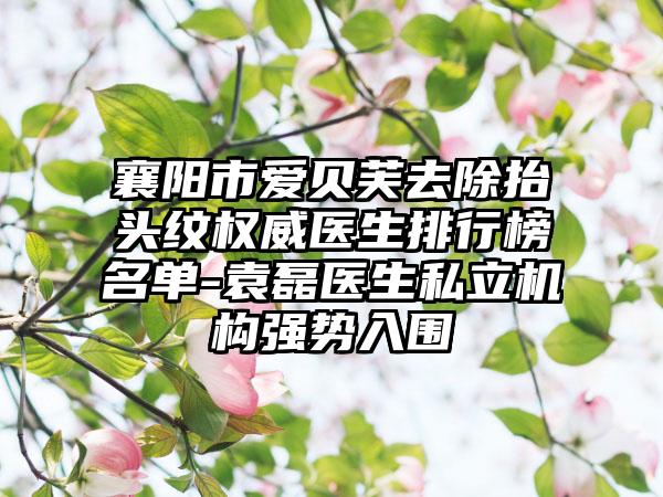 襄阳市爱贝芙去除抬头纹权威医生排行榜名单-袁磊医生私立机构强势入围