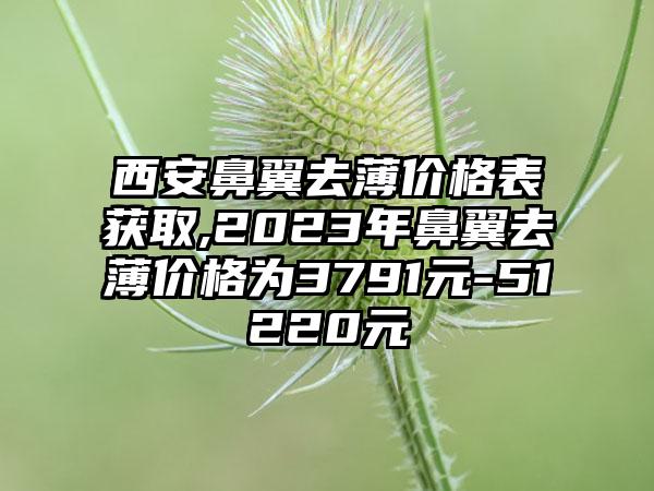 西安鼻翼去薄价格表获取,2023年鼻翼去薄价格为3791元-51220元