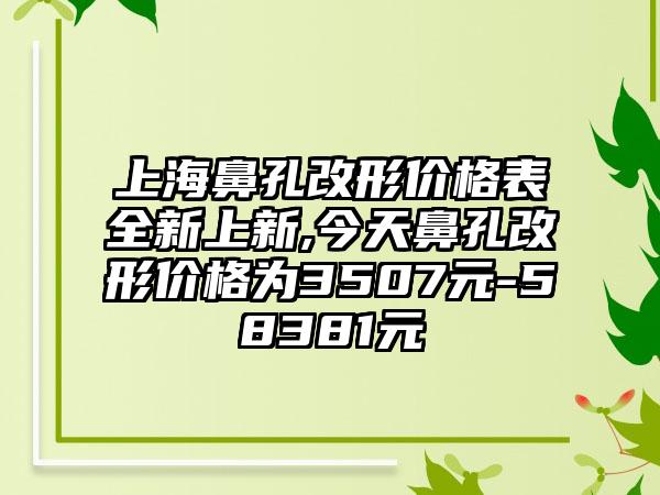 上海鼻孔改形价格表全新上新,今天鼻孔改形价格为3507元-58381元