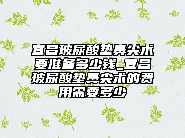 宜昌玻尿酸垫鼻尖术要准备多少钱_宜昌玻尿酸垫鼻尖术的费用需要多少