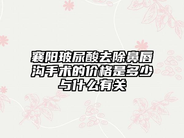 襄阳玻尿酸去除鼻唇沟手术的价格是多少与什么有关