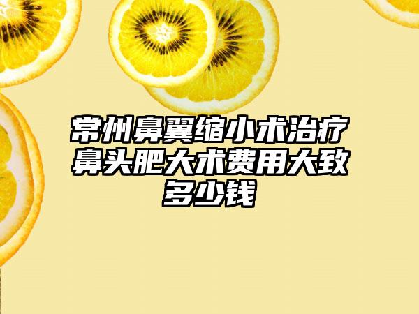 常州鼻翼缩小术治疗鼻头肥大术费用大致多少钱