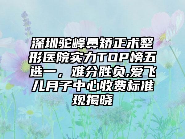 深圳驼峰鼻矫正术整形医院实力TOP榜五选一，难分胜负,爱飞儿月子中心收费标准现揭晓