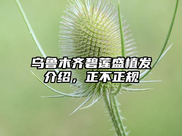 乌鲁木齐碧莲盛植发介绍，正不正规