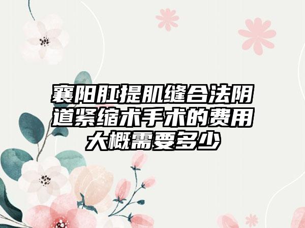 襄阳肛提肌缝合法阴道紧缩术手术的费用大概需要多少