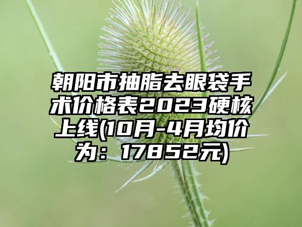 朝阳市抽脂去眼袋手术价格表2023硬核上线(10月-4月均价为：17852元)