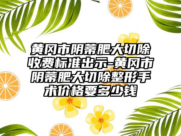 黄冈市阴蒂肥大切除收费标准出示-黄冈市阴蒂肥大切除整形手术价格要多少钱