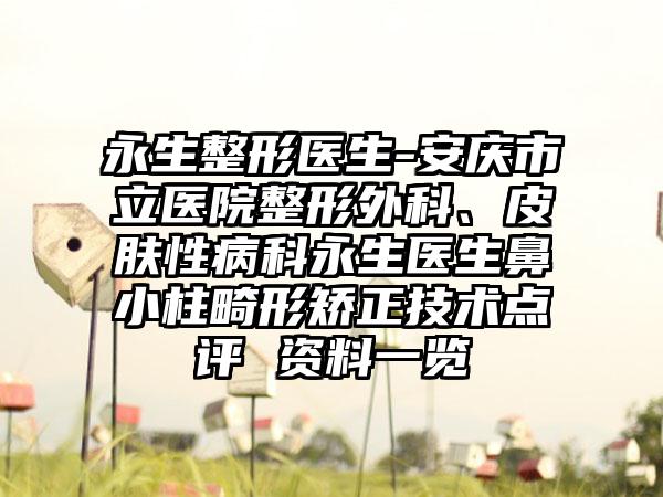 永生整形医生-安庆市立医院整形外科、皮肤性病科永生医生鼻小柱畸形矫正技术点评 资料一览