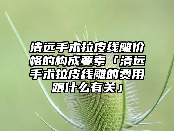 清远手术拉皮线雕价格的构成要素「清远手术拉皮线雕的费用跟什么有关」