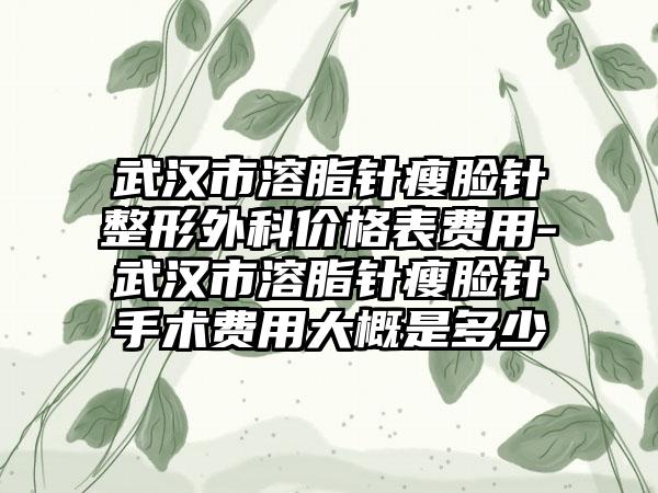 武汉市溶脂针瘦脸针整形外科价格表费用-武汉市溶脂针瘦脸针手术费用大概是多少