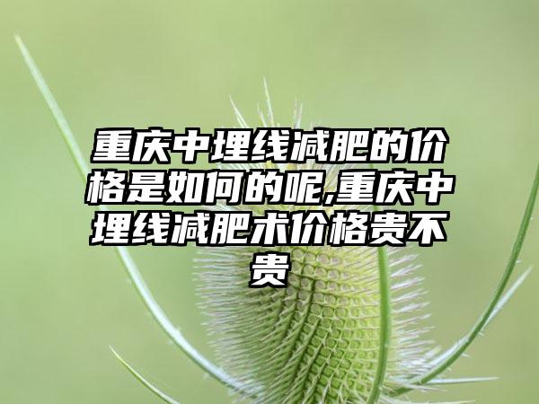 重庆中埋线减肥的价格是如何的呢,重庆中埋线减肥术价格贵不贵