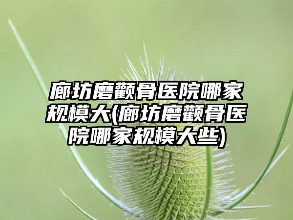 廊坊磨颧骨医院哪家规模大(廊坊磨颧骨医院哪家规模大些)