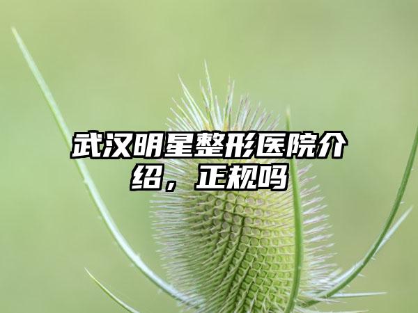 武汉明星整形医院介绍，正规吗