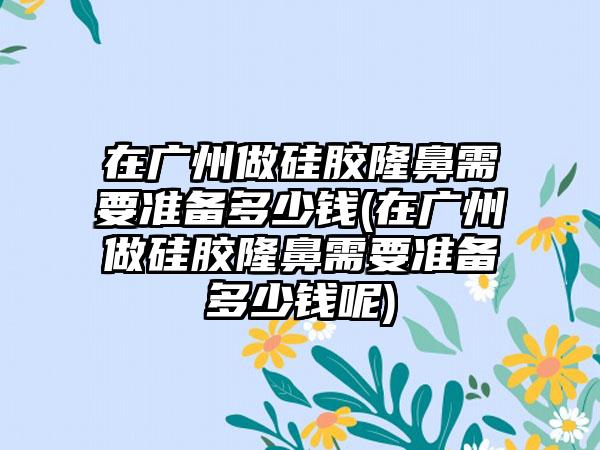 在广州做硅胶隆鼻需要准备多少钱(在广州做硅胶隆鼻需要准备多少钱呢)