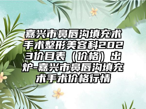 嘉兴市鼻唇沟填充术手术整形美容科2023价目表（价格）出炉-嘉兴市鼻唇沟填充术手术价格行情