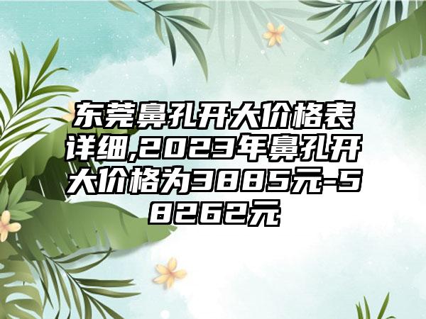 东莞鼻孔开大价格表详细,2023年鼻孔开大价格为3885元-58262元