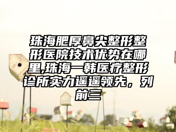 珠海肥厚鼻尖整形整形医院技术优势在哪里,珠海一韩医疗整形诊所实力遥遥领跑，列前三