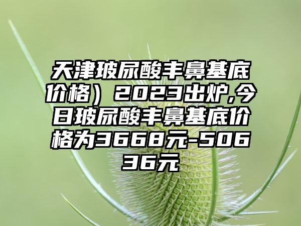 天津玻尿酸丰鼻基底价格）2023出炉,今日玻尿酸丰鼻基底价格为3668元-50636元