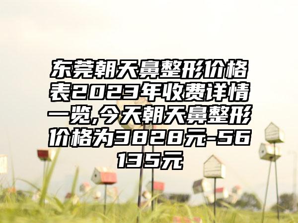 东莞朝天鼻整形价格表2023年收费详情一览,今天朝天鼻整形价格为3828元-56135元