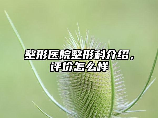 整形医院整形科介绍，评价怎么样