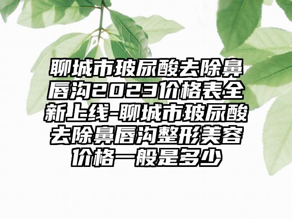 聊城市玻尿酸去除鼻唇沟2023价格表全新上线-聊城市玻尿酸去除鼻唇沟整形美容价格一般是多少