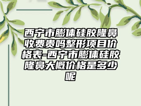 西宁市膨体硅胶隆鼻收费贵吗整形项目价格表-西宁市膨体硅胶隆鼻大概价格是多少呢