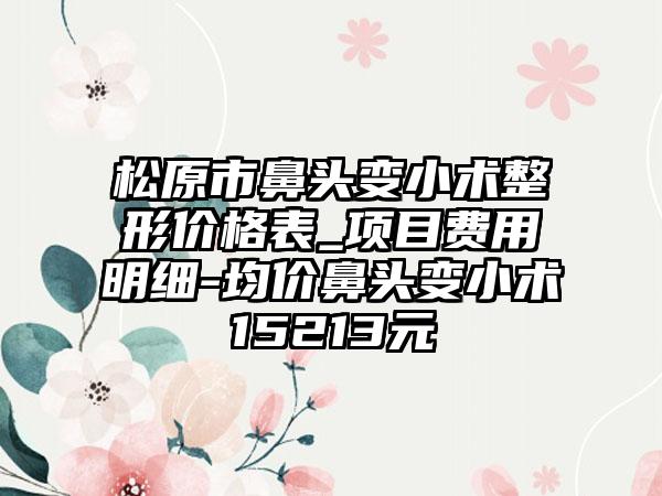 松原市鼻头变小术整形价格表_项目费用明细-均价鼻头变小术15213元