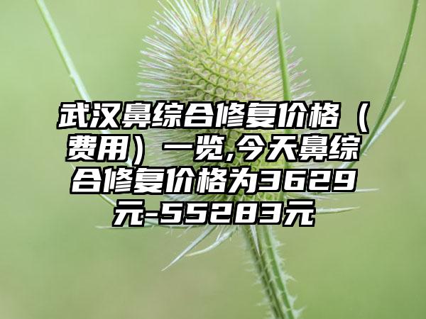 武汉鼻综合修复价格（费用）一览,今天鼻综合修复价格为3629元-55283元