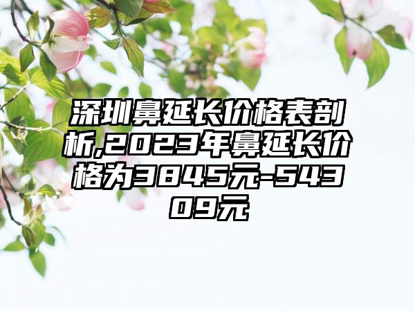 深圳鼻延长价格表剖析,2023年鼻延长价格为3845元-54309元