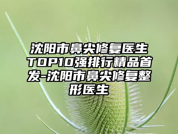 沈阳市鼻尖修复医生TOP10强排行精品始发-沈阳市鼻尖修复整形医生