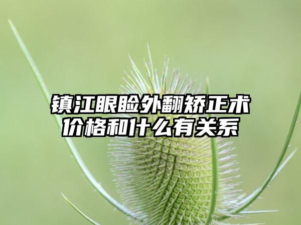 镇江眼睑外翻矫正术价格和什么有关系