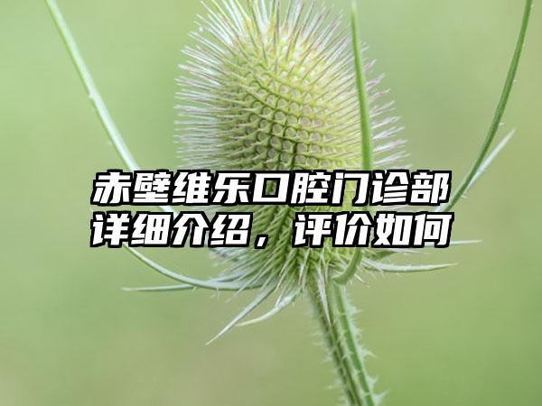 赤壁维乐口腔门诊部详细介绍，评价如何