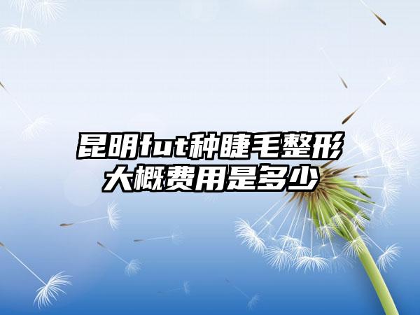 昆明fut种睫毛整形大概费用是多少