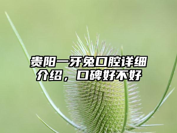 贵阳一牙兔口腔详细介绍，口碑好不好