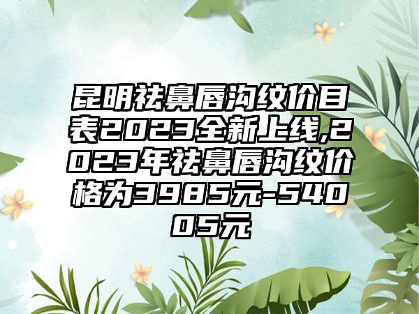 昆明祛鼻唇沟纹价目表2023全新上线,2023年祛鼻唇沟纹价格为3985元-54005元