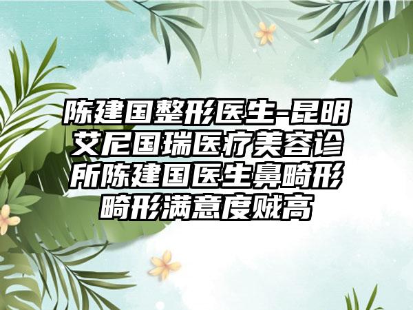 陈建国整形医生-昆明艾尼国瑞医疗美容诊所陈建国医生鼻畸形畸形满意度贼高